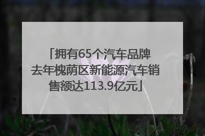 拥有65个汽车品牌 去年槐荫区新能源汽车销售额达113.9亿元