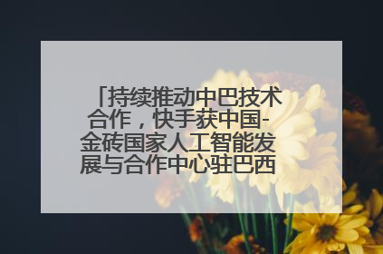持续推动中巴技术合作，快手获中国-金砖国家人工智能发展与合作中心驻巴西成果转化中心授牌