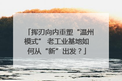 挥刃向内重塑“温州模式” 老工业基地如何从“新”出发？