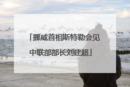 挪威首相斯特勒会见中联部部长刘建超