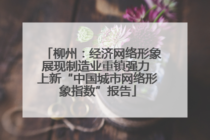 柳州：经济网络形象展现制造业重镇强力 上新“中国城市网络形象指数”报告