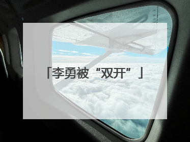 李勇被“双开”