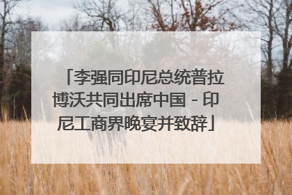 李强同印尼总统普拉博沃共同出席中国－印尼工商界晚宴并致辞
