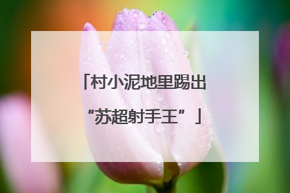 村小泥地里踢出“苏超射手王”