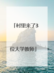 村里来了3位大学教师