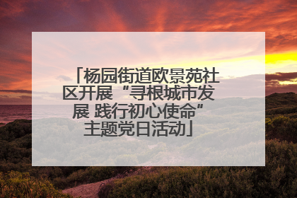 杨园街道欧景苑社区开展“寻根城市发展 践行初心使命”主题党日活动