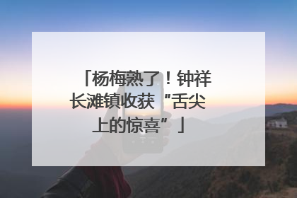 杨梅熟了！钟祥长滩镇收获“舌尖上的惊喜”