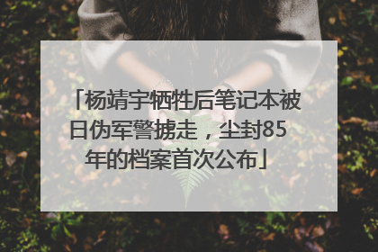 杨靖宇牺牲后笔记本被日伪军警掳走，尘封85年的档案首次公布