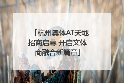 杭州奥体AT天地招商启幕 开启文体商融合新篇章