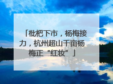 枇杷下市，杨梅接力，杭州超山千亩杨梅正“红妆”