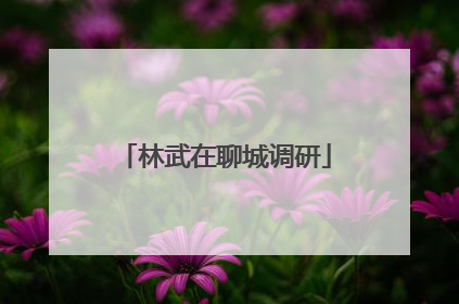 林武在聊城调研