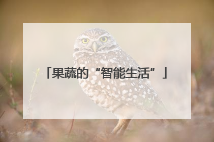 果蔬的“智能生活”