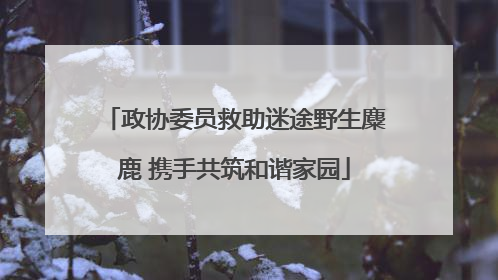 政协委员救助迷途野生麋鹿 携手共筑和谐家园