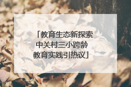 教育生态新探索 中关村三小跨龄教育实践引热议