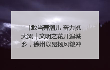 敢当弄潮儿 奋力挑大梁｜文明之花开遍城乡，徐州以昂扬风貌冲刺“万亿之城”