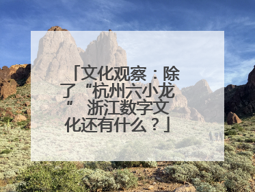 文化观察：除了“杭州六小龙” 浙江数字文化还有什么？