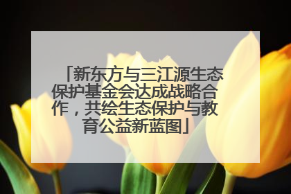 新东方与三江源生态保护基金会达成战略合作，共绘生态保护与教育公益新蓝图