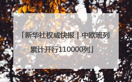 新华社权威快报｜中欧班列累计开行110000列