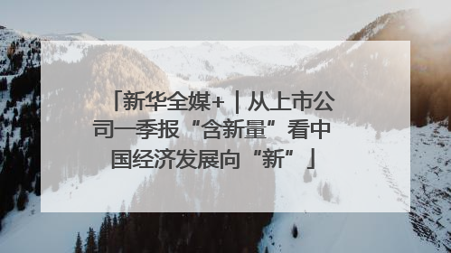 新华全媒+｜从上市公司一季报“含新量”看中国经济发展向“新”