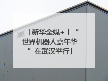 新华全媒+丨“世界机器人嘉年华”在武汉举行