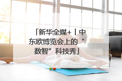 新华全媒+丨中东欧博览会上的“数智”科技秀