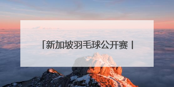 新加坡羽毛球公开赛丨陈雨菲夺得女单冠军
