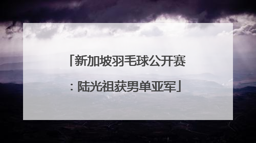 新加坡羽毛球公开赛：陆光祖获男单亚军