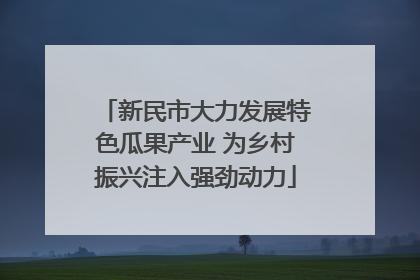 新民市大力发展特色瓜果产业 为乡村振兴注入强劲动力