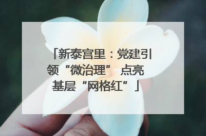 新泰宫里：党建引领“微治理” 点亮基层“网格红”