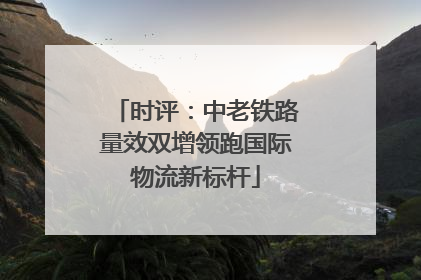 时评：中老铁路量效双增领跑国际物流新标杆
