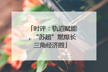时评：轨道赋能，“苏超”燃爆长三角经济圈