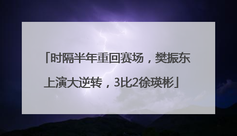 时隔半年重回赛场，樊振东上演大逆转，3比2徐瑛彬