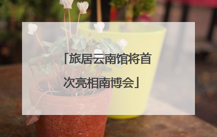 旅居云南馆将首次亮相南博会