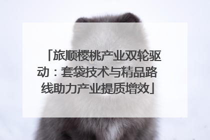 旅顺樱桃产业双轮驱动：套袋技术与精品路线助力产业提质增效