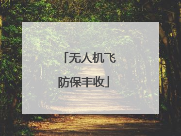 无人机飞防保丰收