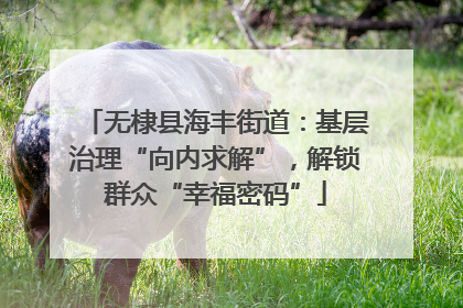 无棣县海丰街道：基层治理“向内求解”，解锁群众“幸福密码”