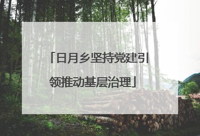 日月乡坚持党建引领推动基层治理