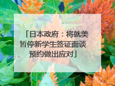 日本政府：将就美暂停新学生签证面谈预约做出应对