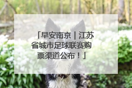 早安南京｜江苏省城市足球联赛购票渠道公布！