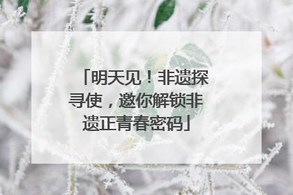 明天见！非遗探寻使，邀你解锁非遗正青春密码