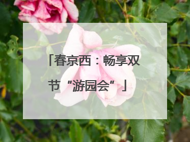 春京西：畅享双节“游园会”