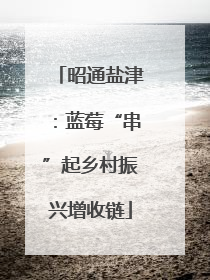 昭通盐津：蓝莓“串”起乡村振兴增收链