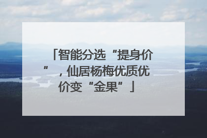 智能分选“提身价”，仙居杨梅优质优价变“金果”