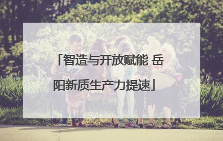 智造与开放赋能 岳阳新质生产力提速