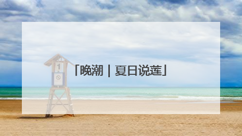 晚潮｜夏日说莲