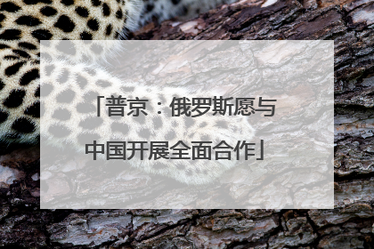 普京：俄罗斯愿与中国开展全面合作