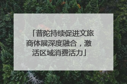 普陀持续促进文旅商体展深度融合，激活区域消费活力