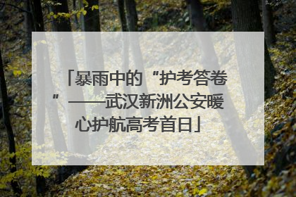 暴雨中的“护考答卷”——武汉新洲公安暖心护航高考首日