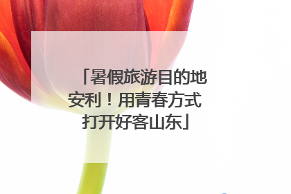 暑假旅游目的地安利！用青春方式打开好客山东