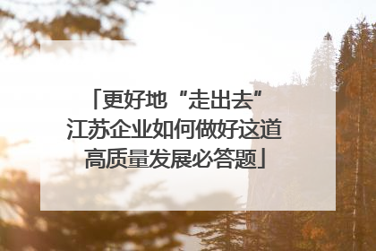 更好地“走出去” 江苏企业如何做好这道高质量发展必答题